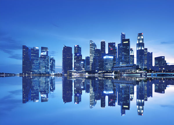 travelling to Singapore? here are some travel tips