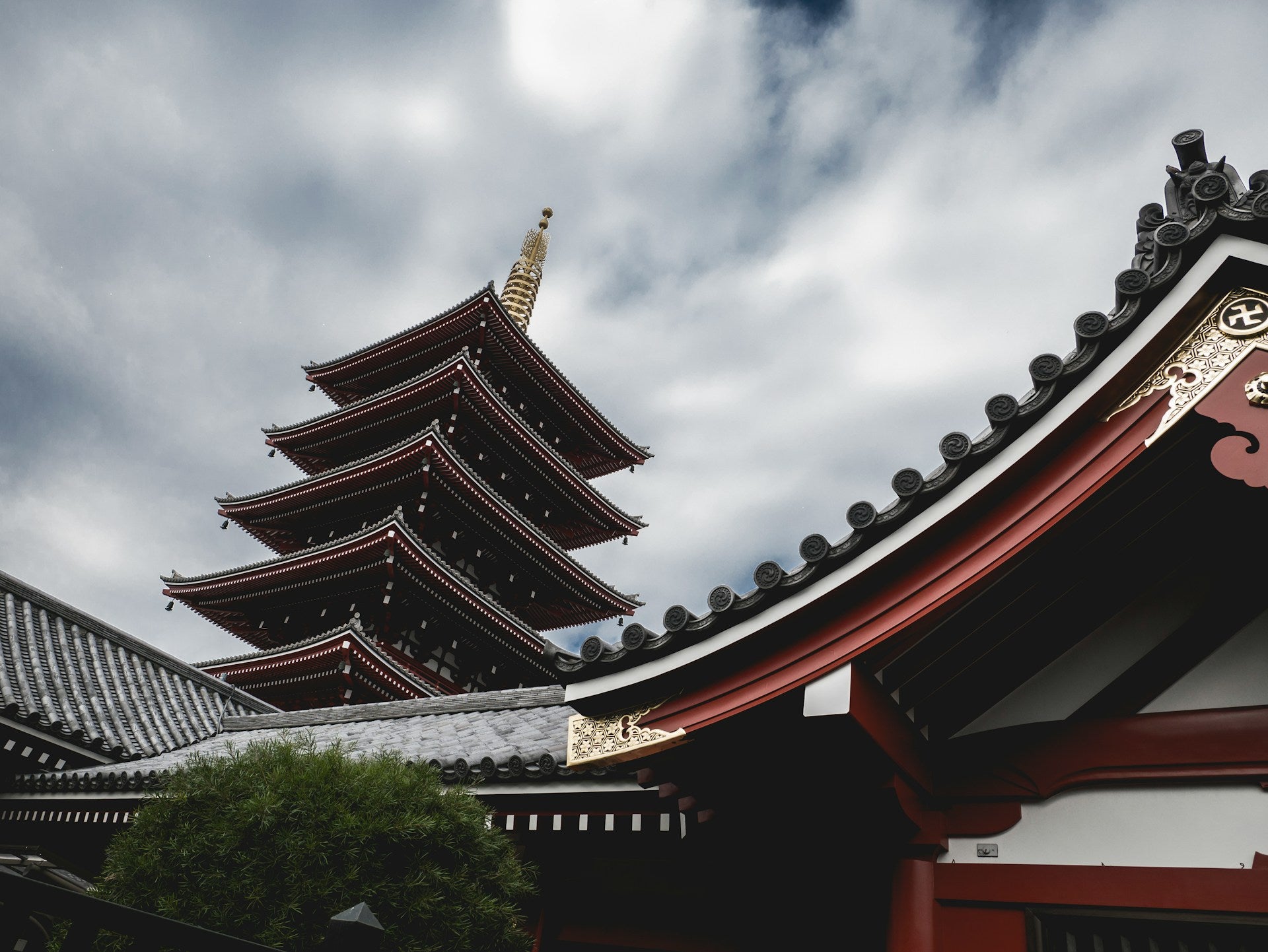 Essential Japanese Phrases for Travelers: Your Quick Guide