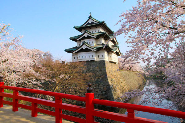 Unveiling the Majestic Beauty of Famous Japanese Castles