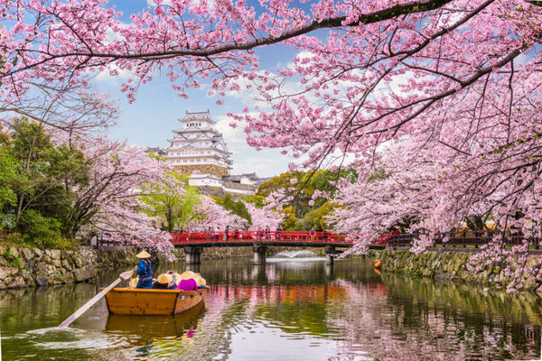 How Much Does a Trip to Japan Cost: A Comprehensive Guide