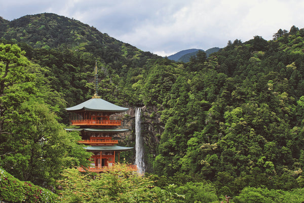 When is the Best Time of Year to Visit Japan?