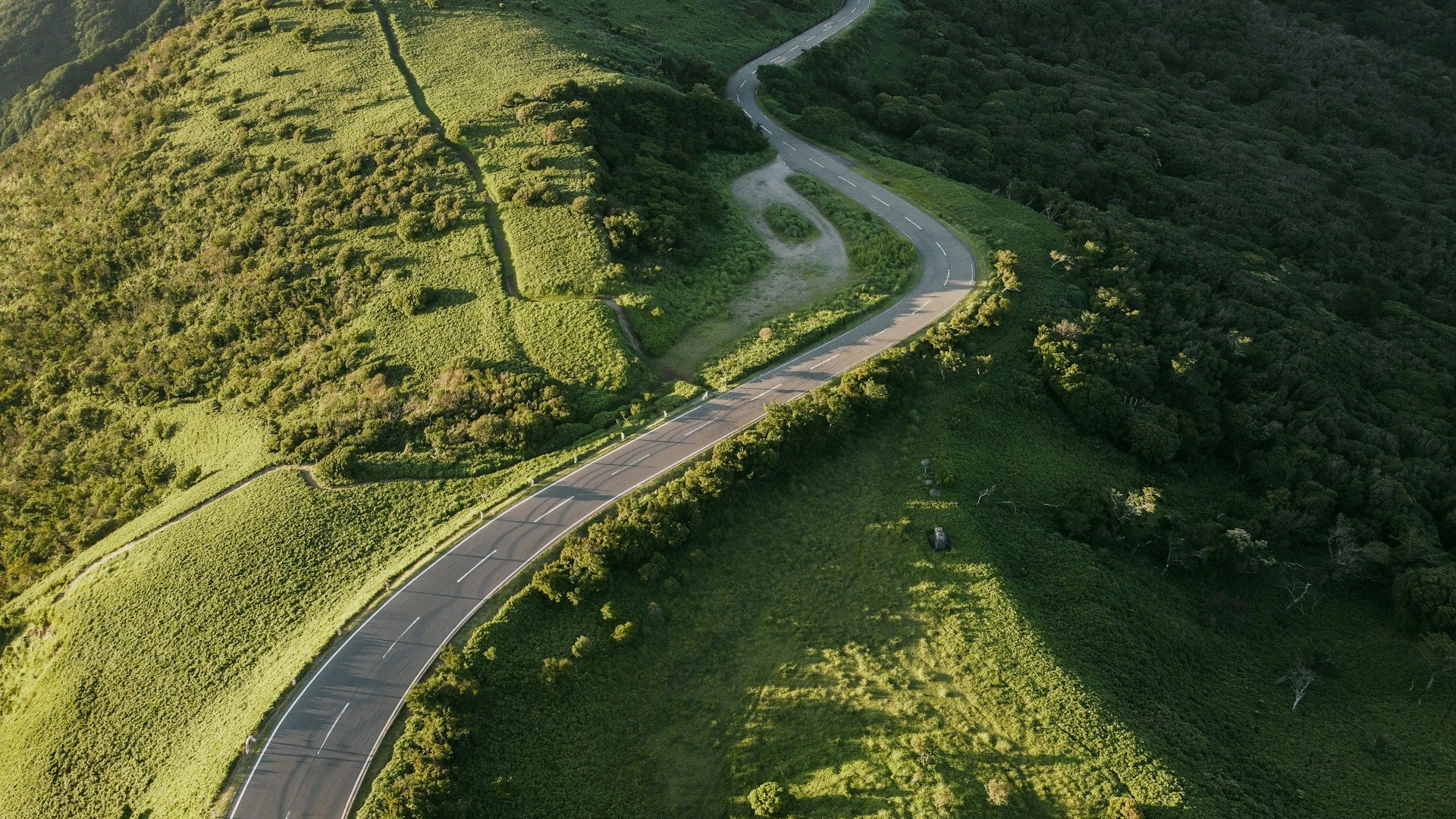 Scenic Road Trips in Japan: Must-See Routes for Travelers